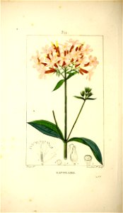 n139_w1150