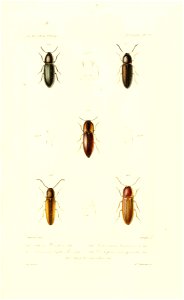 n612_w1150