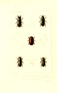 n552_w1150