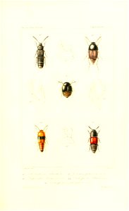 n376_w1150