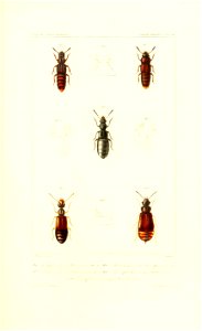 n406_w1150
