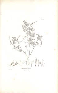 n520_w1150