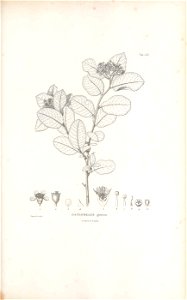 n264_w1150