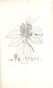 n382_w1150