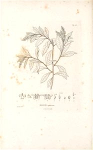 n541_w1150
