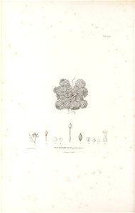 n57_w1150