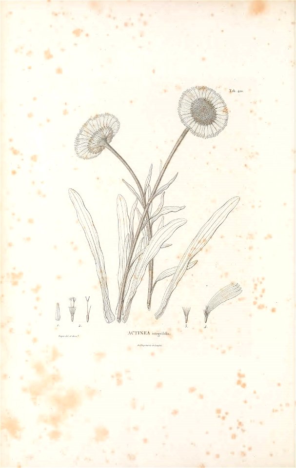 n463_w1150