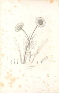 n463_w1150