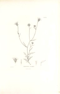 n348_w1150