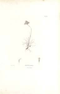 n278_w1150