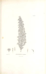 n156_w1150