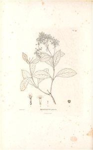 n515_w1150