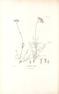 n435_w1150