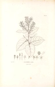 n369_w1150