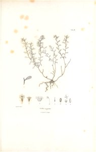 n158_w1150