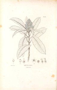 n363_w1150