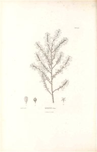 n309_w1150