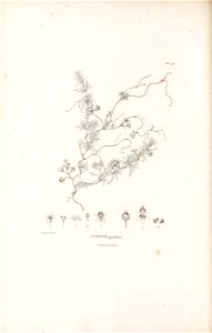 n151_w1150