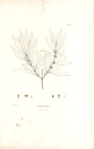 n434_w1150