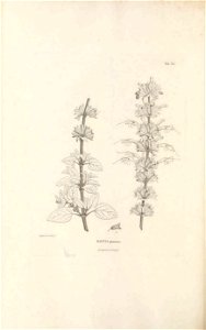 n369_w1150