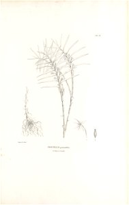 n570_w1150