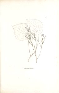 n138_w1150