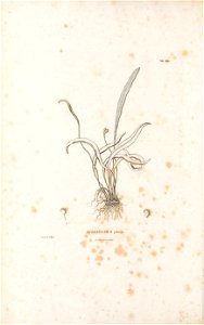 n59_w1150