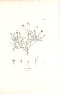 n402_w1150