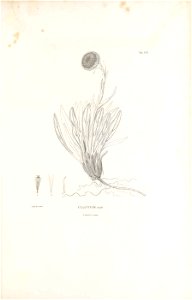 n270_w1150