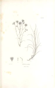 n148_w1150