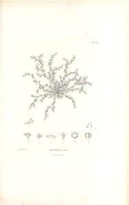 n506_w1150