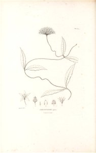 n233_w1150
