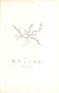 n144_w1150