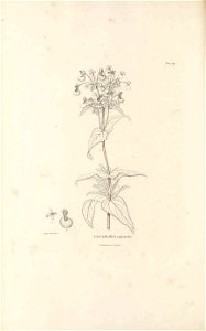 n493_w1150