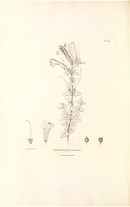 n425_w1150