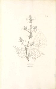 n367_w1150