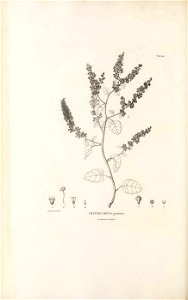 n215_w1150