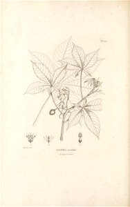 n149_w1150
