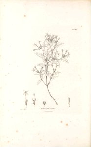 n501_w1150