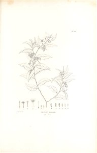 n292_w1150