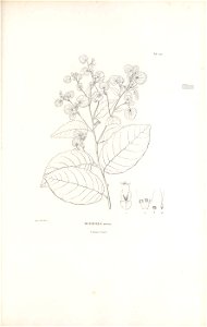 n140_w1150