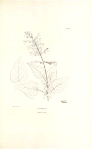 n364_w1150
