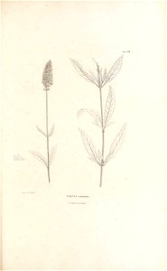 n324_w1150