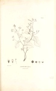 n212_w1150