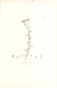 n396_w1150
