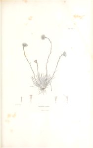 n142_w1150