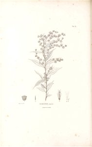 n69_w1150