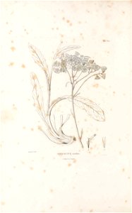 n15_w1150