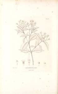 n489_w1150