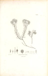 n354_w1150